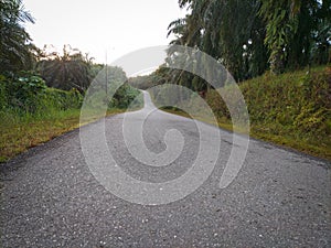 asphalt road with lots of green trees along the side - subulussalam, Aceh, Indonesia- 08 July 2023