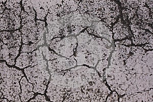Asphalt road with many cracks photo