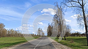 An asphalt road with markings and sandy roadsides runs among grassy meadows. Birch trees grow on the sides of the road. Sunny weat photo