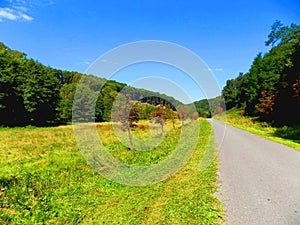 Asphalt road between meadow and deciduous forest