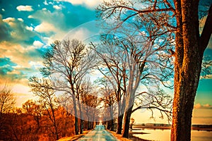 Asphalt road near lake