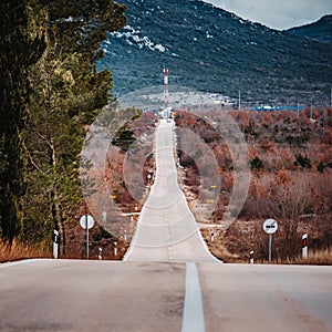 Asphalt road panorama in countryside on cloudy day. Road in forest under dramatic cloudy sky.