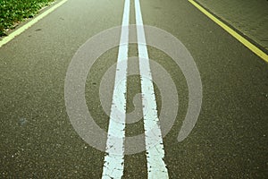 Asphalt road in the park with white and yellow lines at night closeup