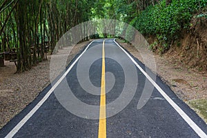 Asphalt road pavement at national park Chiang mai