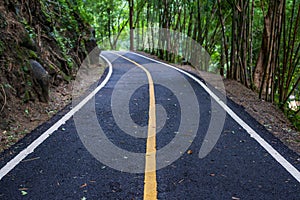 Asphalt road pavement at national park Chiang mai