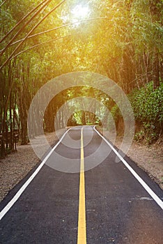 Asphalt road pavement at national park Chiang mai