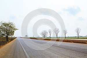 Asphalt road perspective to horizon through cultivated field against cloudy sky