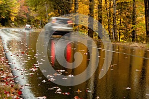 asphalt road after the rain among the l autumn forest and a blurry image of moving cars