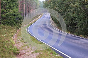 An asphalt road on a rainy day surrounded by forest