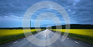 Asphalt road in field