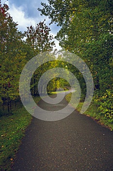 Asphalt road for running along the autumn forest