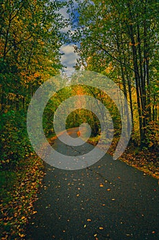 Asphalt road for running along the autumn forest