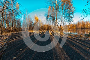 Asphalt road for running along the autumn forest