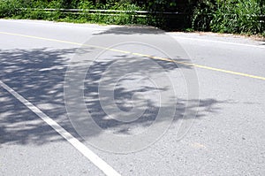 Asphalt road and shadow of trees