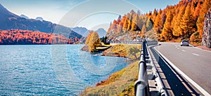 Asphalt road on the shore of Sils lake. Panoramic morning view of Swiss Alps. Colorful autumn scene of Switzerland, Europe. Travel