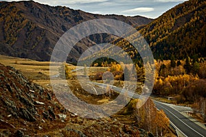 Asphalt road to the mountains of Altai passing through the autumn landscape