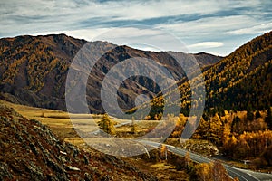 Asphalt road to the mountains of Altai passing through the autumn landscape