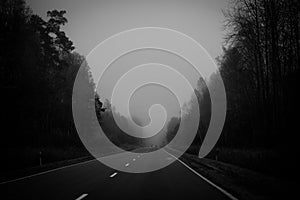 Asphalt road with trees and fog in rich black and white