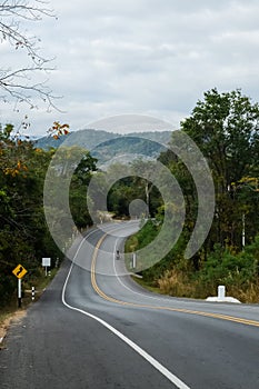 Asphalt road with trees beside into the mountains