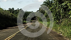 An asphalt road with tropical forest around it