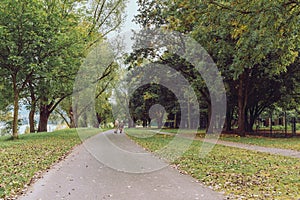 Asphalt road with an unrecognisable elderly couple in far in a park in autumn with yellow, green and red trees and leaves on a