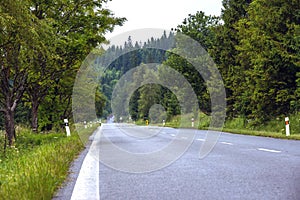 Asphalt road winding through flower hills