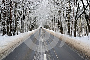 Asphalt road in winter.