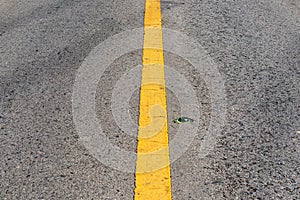 Asphalt road and yellow dividing lines. - background for transportation.