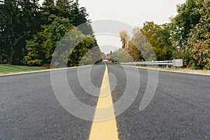 Asphalt road with yellow markings against the background of trees