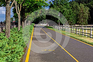 Asphalt road with yellow markings and a bicycle symbol.