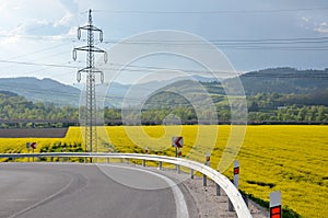 Asphalt route arround the oilseed field, electric column in background photo