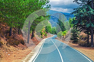 Asphalt serpentine road in Troodos mountain range with roadside fence and trees