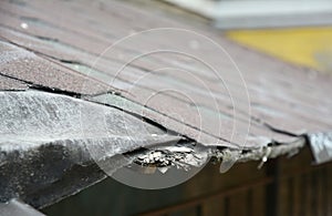Asphalt shingles damage. Fixing damaged roof shingles