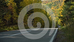 Asphalt Suburban Highway among a dense Autumn Forest on a Sunny Day. Cars pass quickly along the Winding Road. Concept