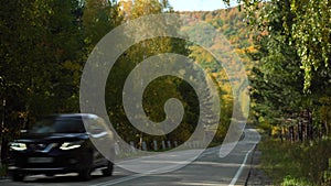 Asphalt Suburban Highway among a dense Autumn Forest on a Sunny Day. Cars pass quickly along the Winding Road. Concept