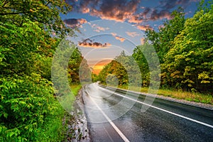 Asphalt wet road panorama in countryside on rainy summer day. autumn rain road through forest under dramatic sunset