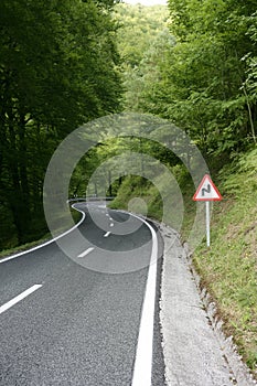 Asphalt winding curve road in a beech forest