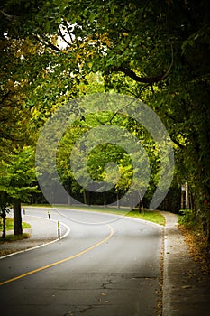 Asphalt winding curve road