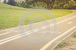 Asphalted bicycle track in the park/asphalted bicycle track in t