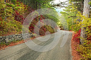 Asphalted mountain road through autumn forest