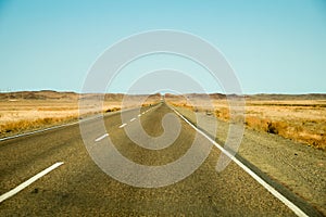 Asphalted road across the steppe skyline yellow grass