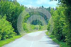 Asphalted road and green roadsides with bushes