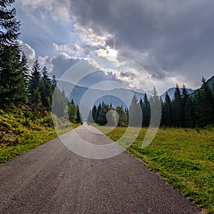 Asphalted road leading up to the mountains in forest