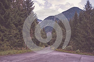 Asphalted road leading up to the mountains in forest - vintage r