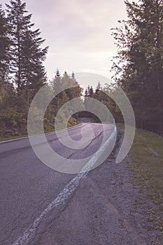 Asphalted road leading up to the mountains in forest - vintage r