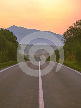 Asphalted road leading up to the mountains in forest - vintage r