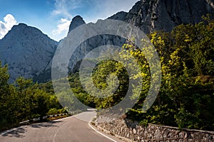 Asphalted road in the mountains, beautiful sunshine, summer vacation time