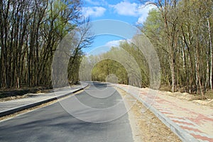 Asphalted road in spring park
