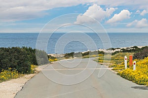 Asphalted road in summer with yellow flowers on the roadside. In the background blurred sea and blue sky with white clouds