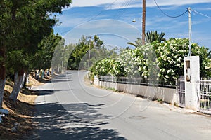 Asphalted road in village